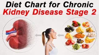 Diet For Chronic Kidney Disease Patients  CKD Stage 2 Diet Plan [upl. by Jase]