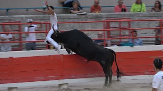 BEAUCAIRE28062024Course CamarguaiseAvenir [upl. by Eisset952]