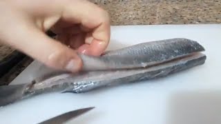 Levrek Fileto Çıkarma Nasıl Yapılır Levrek Fileto Nasıl Çıkarılır  How to Sea Bass Fillet [upl. by Orren]