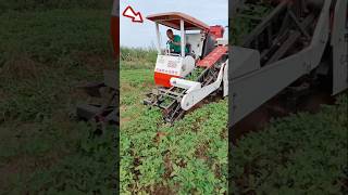 Amazing Corn Shshorts agriculture china eller Machine modernfarmeryoutbeshorts israr848 [upl. by Ahtennek]