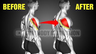 6 Most Effective Rear Delts Exercises for Bigger Shoulder [upl. by Dranoel]