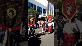 Tartan Day Townsville 2024 [upl. by Laurens]