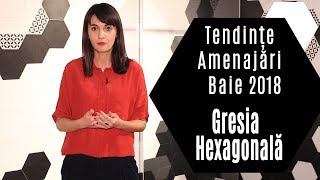 Tendinte Amenajari Baie 2018 – Gresia Hexagonala [upl. by Wiggins]