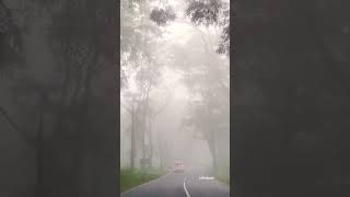 pulppallywayanad travelmisty 2024keralaroadtrip sulthan bathery pulppally road [upl. by Ardme732]