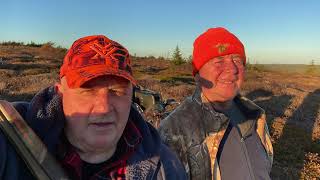 Gord Follett Outdoors amp More 2021 Southern Shore Moose Hunt Newfoundland Labrador [upl. by Bathesda]