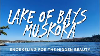 Snorkeling for the Hidden Beauty under the Depths of Lake of Bays Muskoka [upl. by Kovar502]