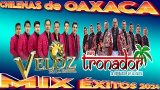 Veloz De La Sierra ft Grupo Tronador  Chilenas de Oaxaca  Corridos de Oaxaca [upl. by Nellac]