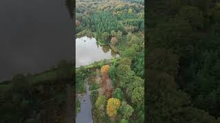 Forest amp Lake 🌳💧nature travel autumn forest lake youtube drone france [upl. by Caneghem]