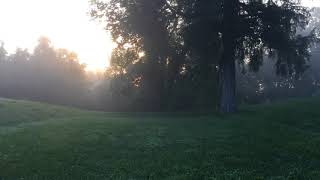 Timelapse of the Summer Solstice Sunrise Alignment at Serpent Mound 2018 [upl. by Arliene]