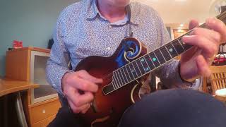 Tobins favourite Jig mandolin [upl. by Ingmar]