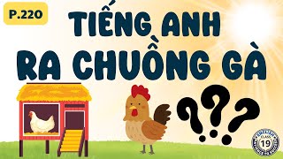 TA Giao Tiếp Ngành quotGàquot  Học TIếng Anh vs19 English Class  Tiếng Anh chậm cho người lớn tuổi [upl. by Aziram]