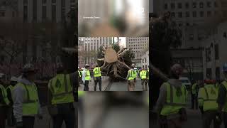 Rockefeller Center Christmas Tree arrives in New York City [upl. by Mufinella902]