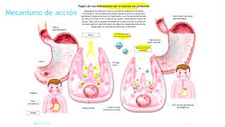 FARMACOLOGIA GASTRICA IBP ANTI H2 ANTIACIDOS PROTECTORES DE MUCOSA  COMPLETO [upl. by Inot]