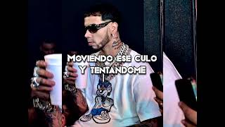 Anuel  Borracha y Loca Letra [upl. by Aznofla]