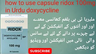 Ridox 100mg capsule Doxycycline antibiotic used for in Urdu Hindi benefits and side effects [upl. by Maryanna]