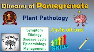 L 18  Diseases of Pomegranate अनार  Bacterial leaf blight [upl. by Ziguard]