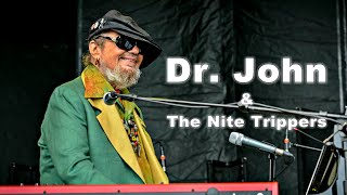 Dr John amp The Nite Trippers  Landmark Music Festival 2015 HD Full Concert [upl. by Boffa]