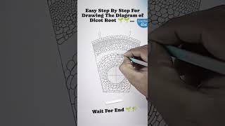 How to draw dicot root of plants art drawing viratart drawsketch sketch [upl. by Chuipek819]