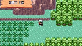 Pokemon Emerald LP Part 28 Route 119 [upl. by Eremahs]