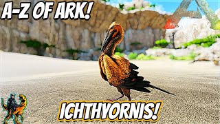 AZ Of Ark The ICHTHYORNIS The Dumbest Bird Ever  Ark Survival Evolved [upl. by Ytnom]