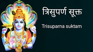 त्रिसुपर्ण Trisuparna भाग १ [upl. by Nahsor]