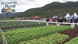 Dia de campo apresenta soluções tecnológicas à olericultura  Rio Grande Rural [upl. by Adelheid624]