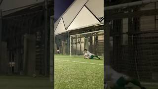 Shot Stopping close distance or 1v1 goalkeepertraining [upl. by Pelagia]