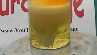 Silver Refining Nitric Acid Poor Mans Method Part 2 with Copper Recovery [upl. by Yecal]