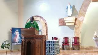 Holy Mass with Fr Timothy Mutei and Fr John  16 July 2024 [upl. by Lawry]