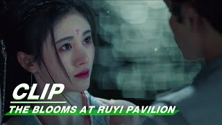 Clip Unexpected Marriage Proposal  The Blooms At RUYI Pavilion EP18  如意芳霏  iQIYI [upl. by Ellehcrad323]