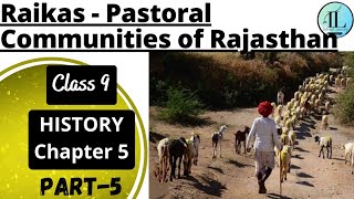 Raikas  Pastoral Communities of Rajasthan  On the Plateaus Plains and Deserts  Class 9 History [upl. by Sukcirdor178]