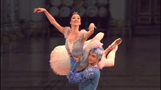 Shakirova amp Timofeyev  Bluebird Pas De Deux 2017 [upl. by Assenav]