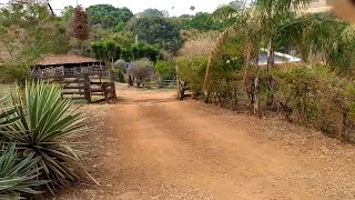 Lugar Lindo Sitio São Sebastião nascente de agua Corrego hortaliças animais curral árvores SP [upl. by Melisande996]