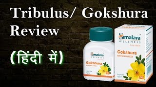 Gokshura गोक्षुर as a test booster  Tribulus Terristris Supplement Review  Hindi [upl. by Aitnas656]