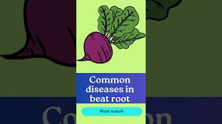 Common diseases in beet root [upl. by Timothee214]