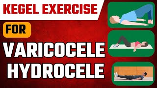 Pelvic Kegel Exercise for Varicocele Hydrocele and Male Infertility in Hindi [upl. by Gradeigh]