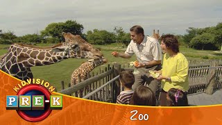 Zoo  Virtual Field Trip  KidVision PreK [upl. by Dnallor]