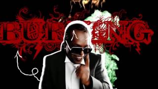 Madcon feat Ameerah  Freaky Like Me [upl. by Alimhaj]