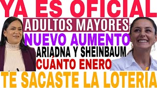 OFICIAL YA AUMENTO PENSIÓN ENERO 2025 ADULTOS MAYORES 65 Y DISCAPACIDAD AVISO [upl. by Nitaf]