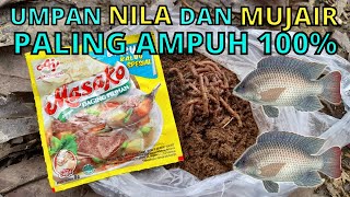 Umpan Jitu ikan Nila Mujair Paling Ampuh 100 Anti Boncos Langsung Tes [upl. by Nue]