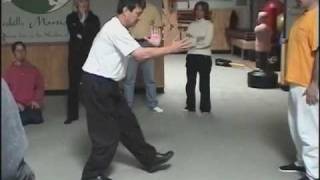 Introduction to Master Anthony Ho Nan Jie 何南傑 and Wuji Qigong Taijiquan Taichi [upl. by Isidora]