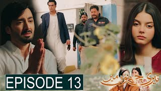 Teri Chhaon Mein Episode 13 Promo  Teri Chhaon Mein 14  16 August 2024  Hum TV Drama [upl. by Kawai]