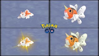 Pokemon Go Evolving Normal amp Shiny Goldeen into Normal amp Shiny Seaking [upl. by Nnairrehs]