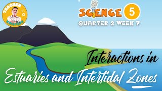 SCIENCE 5 Q2 WEEK 7  INTERACTIONS IN ESTUARIES AND INTERTIDAL ZONES [upl. by Mclaurin561]