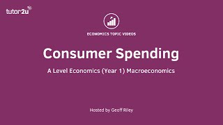 Consumer Spending  A Level and IB Economics [upl. by Nnairol]