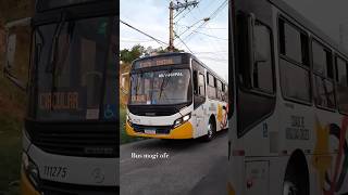 Cs Brasil  Caio Apache Vip IV mogi das cruzes caioinduscar mercedes [upl. by Adiesirb]