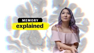 Memory Explained  FULL EPISODE  Vox  Netflix [upl. by Nahej421]