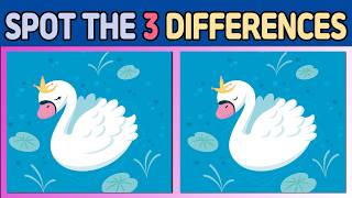 Find the Differences Quiz 😕 Find the Differences A Visual Adventure 🌈 155 [upl. by Yarazed]