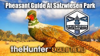 Pheasant Guide At Salzwiesen Park  theHunter Call Of The Wild [upl. by Ttenrag]