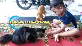 bermain bareng kucing [upl. by Alverta]